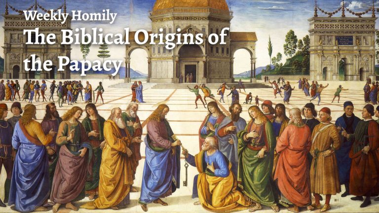 The Biblical Case for the Papacy | Sunday Homily