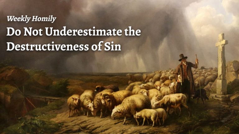 The Wages of Sin | Sunday Homily